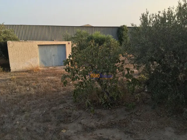 BAJADO DE PRECIO *TERRENO DE 2.435 MTR EN ALMERIA , ZONA LOMA CABRERA* — 12