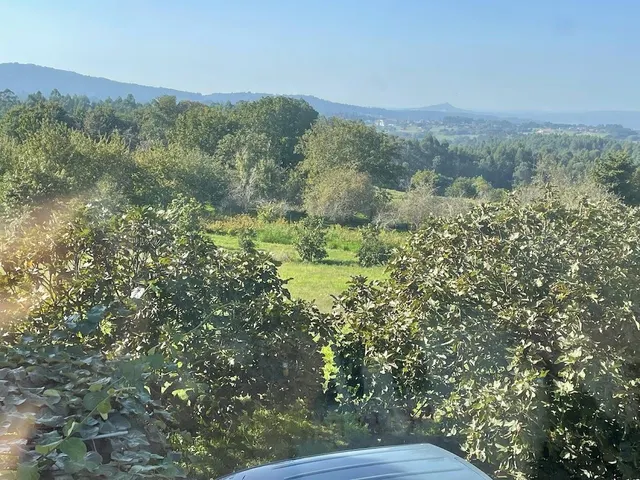 CASA SEÑORIAL DE 1807 CON FINCA DE 6.500M2. PERFECTA CASA RURAL — 10
