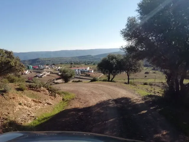 Finca de explotación ganadera en activo con 80 hectáreas en  - foto 5
