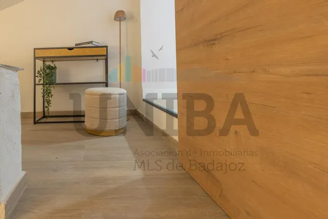PISO TOTALMENTE REFORMADO EN EL CASCO ANTIGUO, JUNTO A PUERTA PALMAS — 20