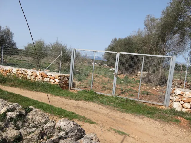 Finca rústica edificable entre Sineu y LLubí