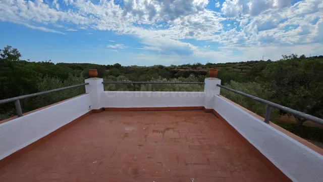 Magnífica finca rústica de 14.000 m2 con casa legalizada, lu - foto 5