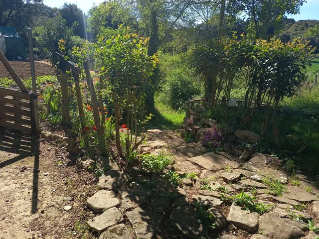 Finca en Sansoáin, 30 " de Pamplona — 12