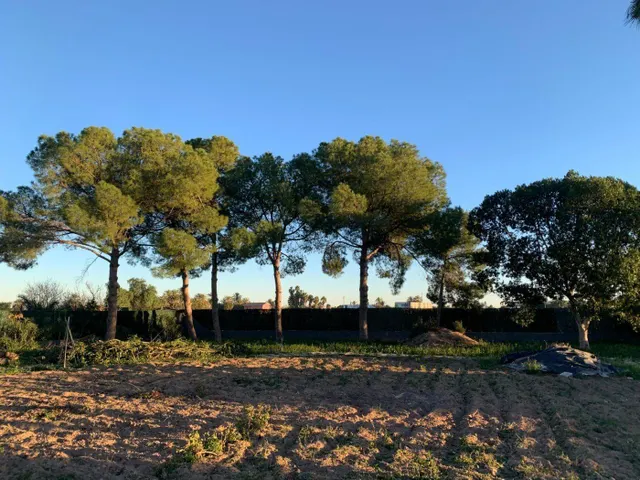 Chalet en Alquiler en Elche, zona Alzabares. — 30
