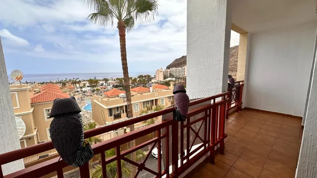 Atico duplex en Pal Mar. Arona — 8