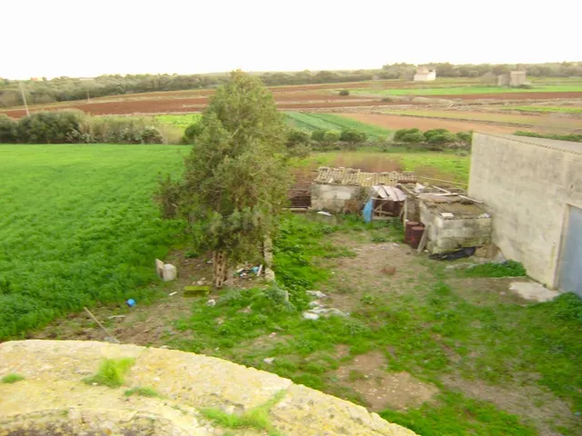 Finca rústica con muchas posibilidades en Muro - foto 3