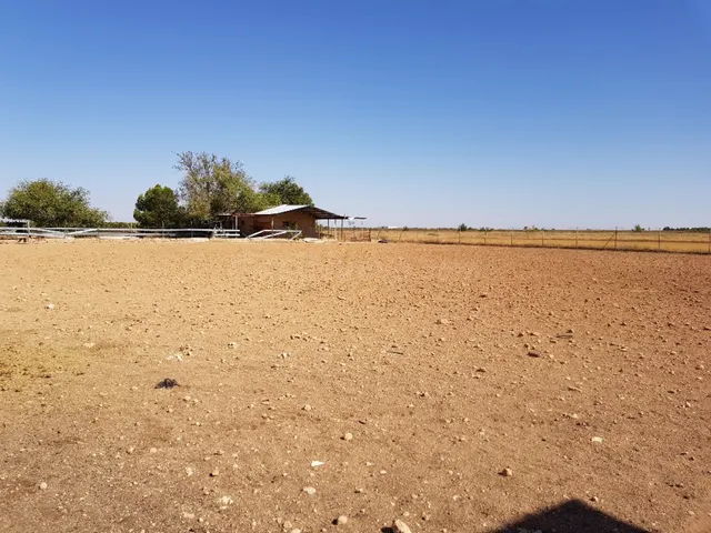 Solar 14000m² en venta - Tomelloso