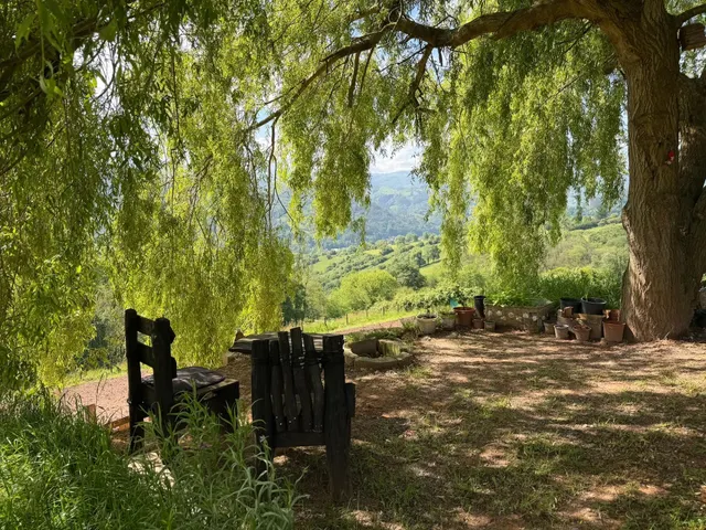 Terreno rural en venta - Fontán — 11