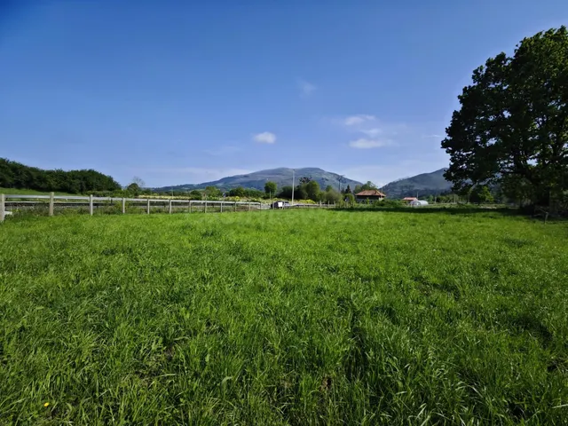 Finca rústica en venta en Villanueva de la Peña (Mazcuerras) - foto 5