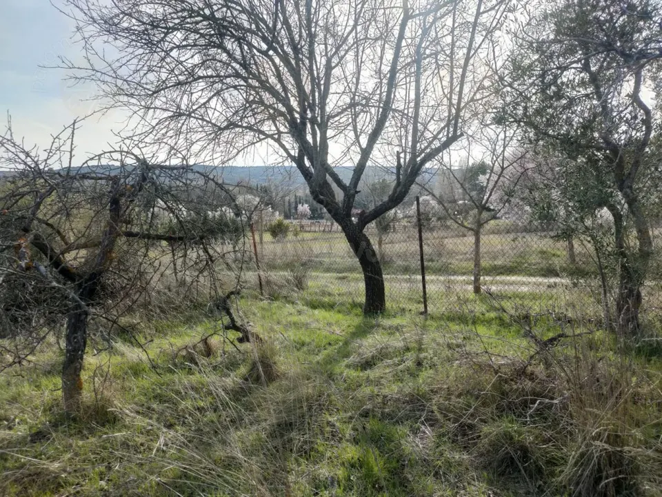 Parcela en Venta en Torrelaguna Madrid