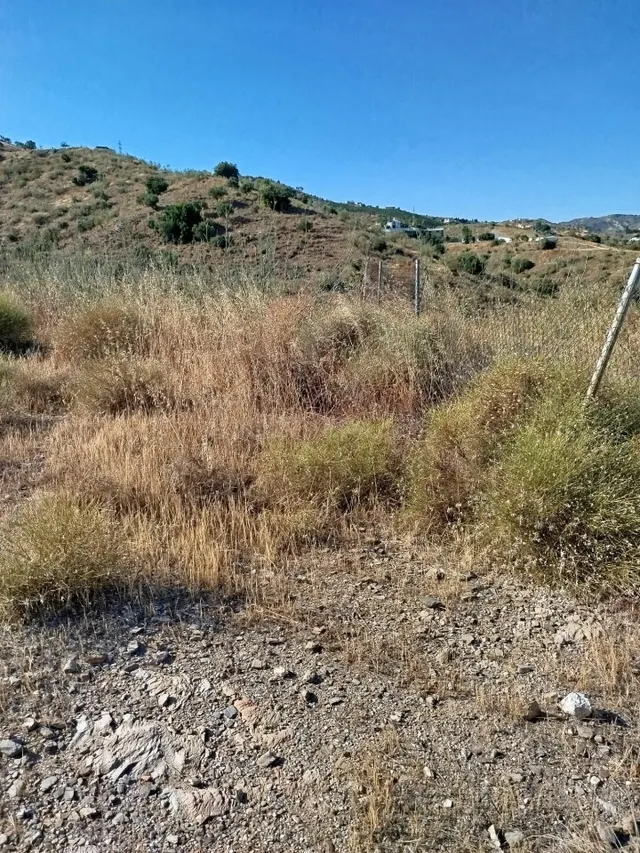 BONITA PARCELA URBANA 720 M2 EN RINCÓN DE LA VICTORIA - foto 4