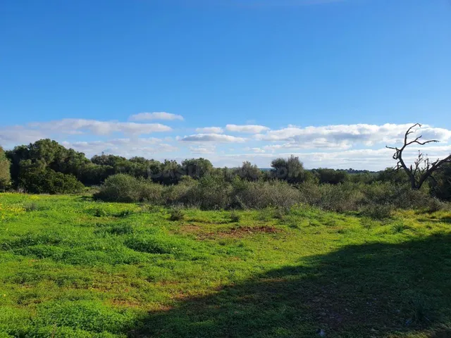 Terreno rústico con licencia y proyecto de vivienda con pisc