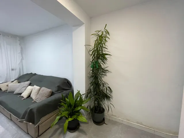Apartamento reformado a 50 mts de la playa de la mata — 4