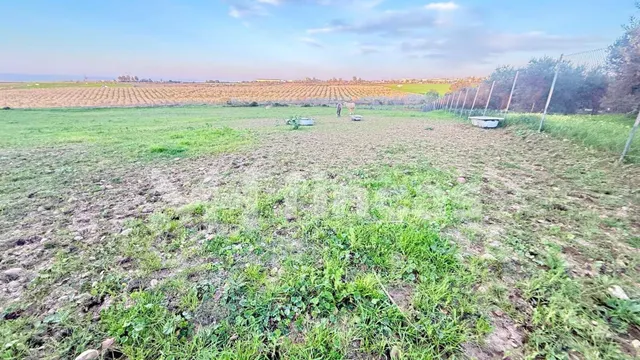 FINCA RÚSTICA EN VENTA EN CARMONA – 18.000 m2 CON POZO – CER - foto 4