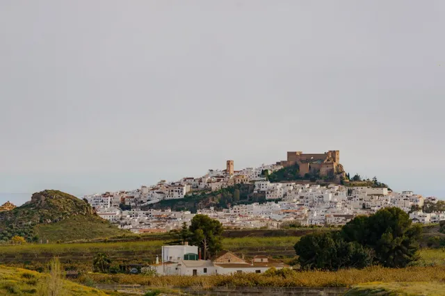 ENCANTADOR CORTIJO CON PISCINA, VISTAS ESPECTACULARES Y FRUTALES TROPICALES EN SALOBREÑA — 20