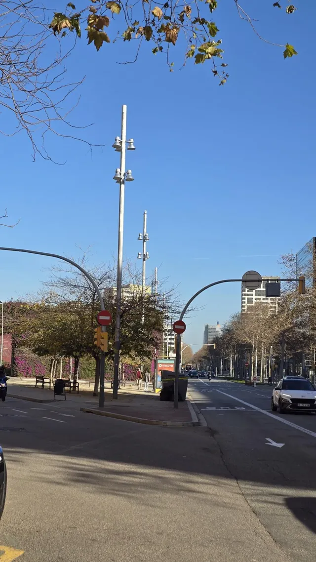 Planta alta y con mucha luz — 11