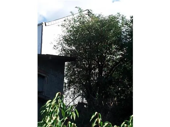 2230 — 10
