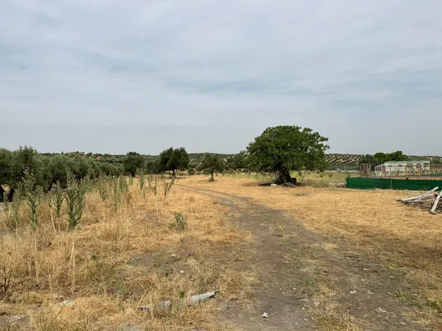 VENTA DE SOLAR INDUSTRIAL EN CHIMENEAS — 24