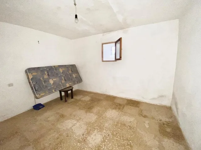 Finca rústica con caseta y 6000m2 para tus proyectos de campo — 13