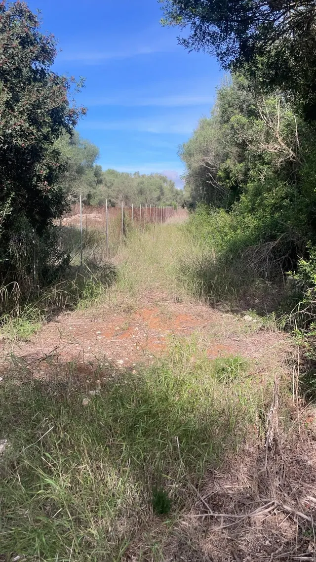 Finca rustica edificable en Felanitx — 9