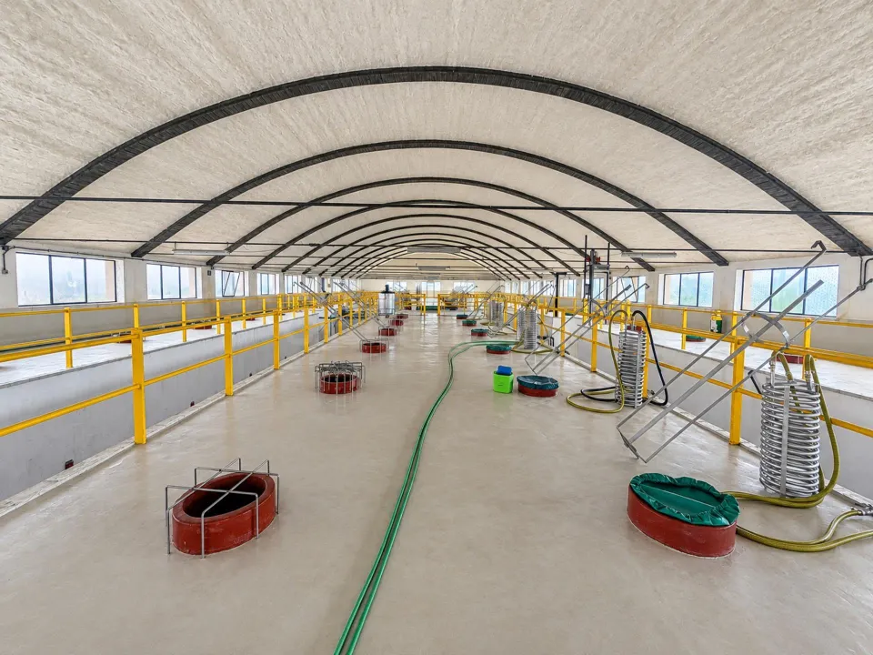 BODEGA DE PRODUCCIÓN D.O. PENEDÈS