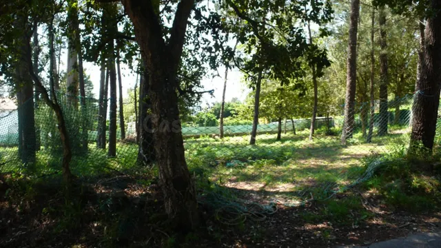 Solar en Vilaza, Gondomar - foto 2
