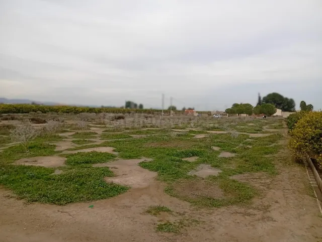 Terreno en venta de 3545 m2 Librilla (Murcia) - foto 5
