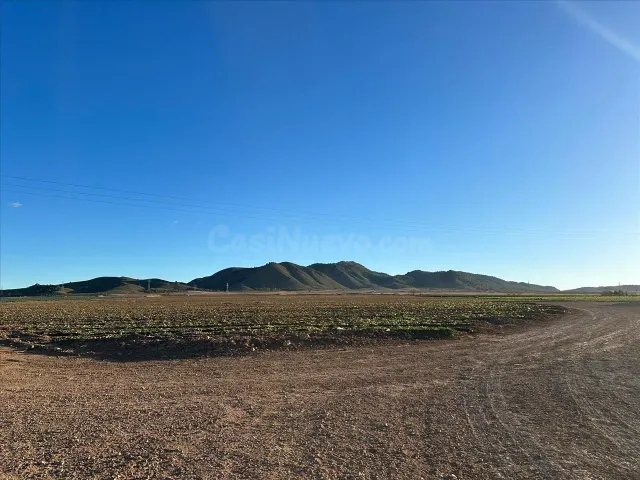 Venta de Finca Rústica en Jumilla - Murcia - foto 2