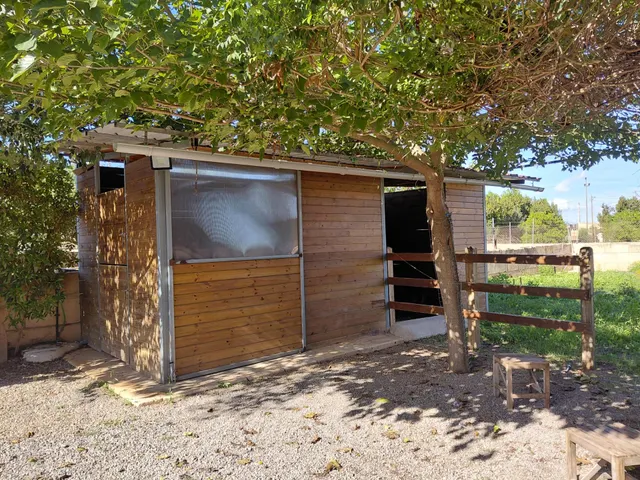 Finca rústica con casita acondicionada y terreno a 500 metros de Manacor — 14