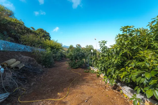 Finca rústica con casa terrera y vistas al mar en tierra del trigo, los silos — 30