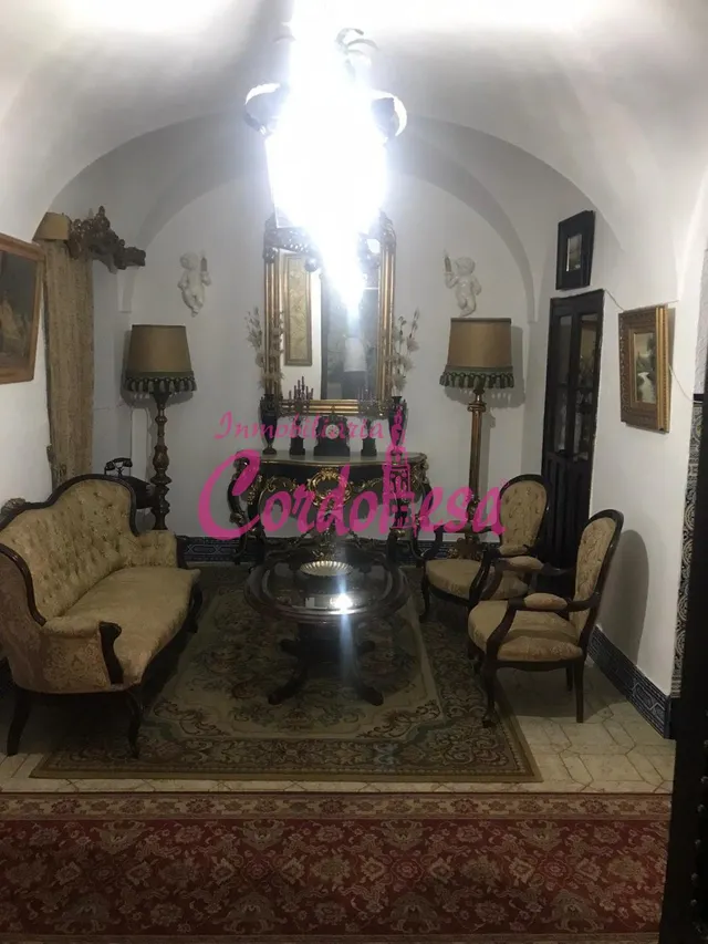 MAGNIFICA CASA SEÑORIAL EN VILLAVICIOSA DE CORDOBA — 13