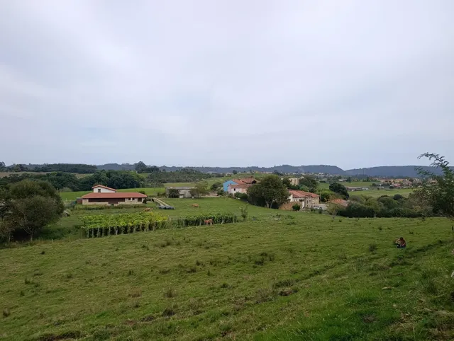 Terreno Rústico en venta - Noriega — 25