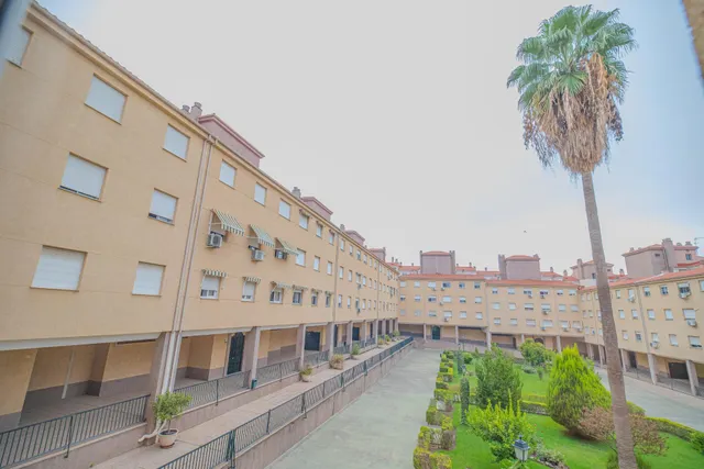 PISO EN CALLE EMILIA PARDO BAZAN 8 — 31