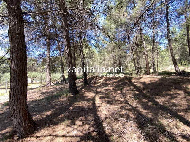 En Venta/Disponible: Finca Rústica en L'Olleria (Zona Barran - foto 4