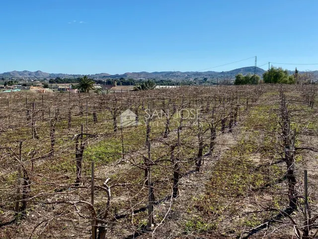 VENTA DE PARCELA EN ASPE EN MUY BUENA ZONA DE 11.040 M2 - foto 3