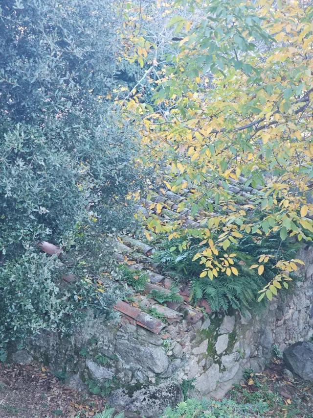 Parque natural del montseny (afueras riells): masía típica catalana catalogada a reformar — 42