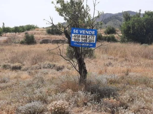 Terreno en la Alquebla — 2