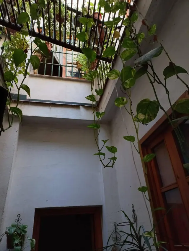 CASA EN EL CENTRO HISTORICO DE SEVILLA — 9