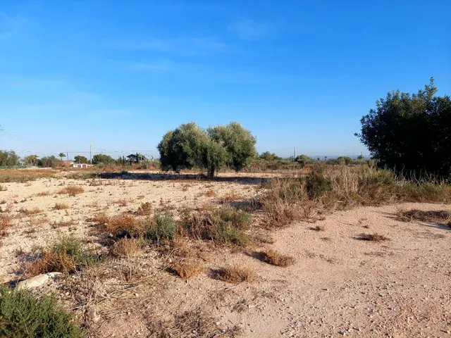Se vende terreno de 13.000m2 en zona Squash - foto 4