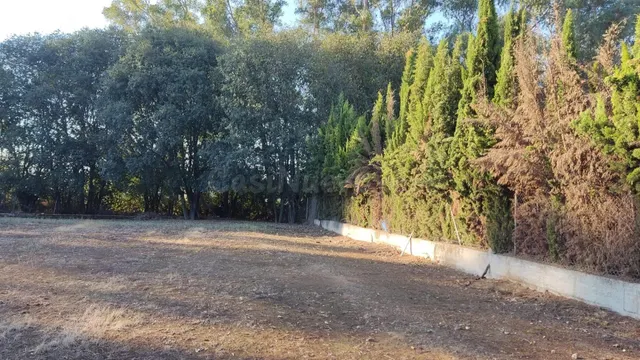 Parcela en venta - ALMODÓVAR DEL RÍO - foto 2