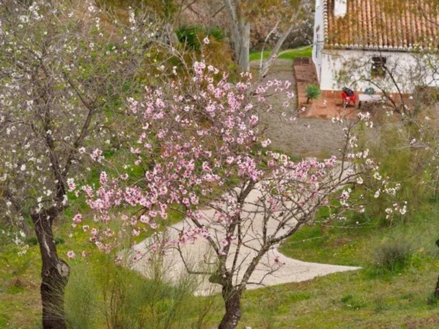 Finca rústica 2 habitaciones 125m² en venta - South of spain — 18