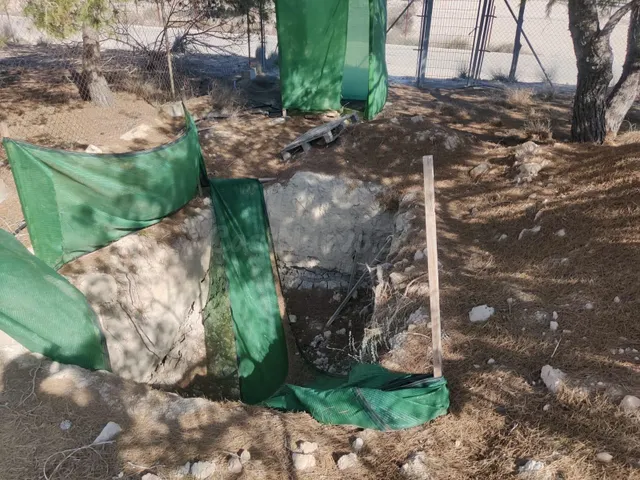 Terreno en venta de 7.000 m2 en Molina de Segura - foto 4