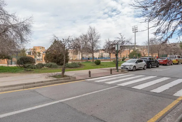 Local Comercial en Venta en Granada - Palacio de Deportes — 45