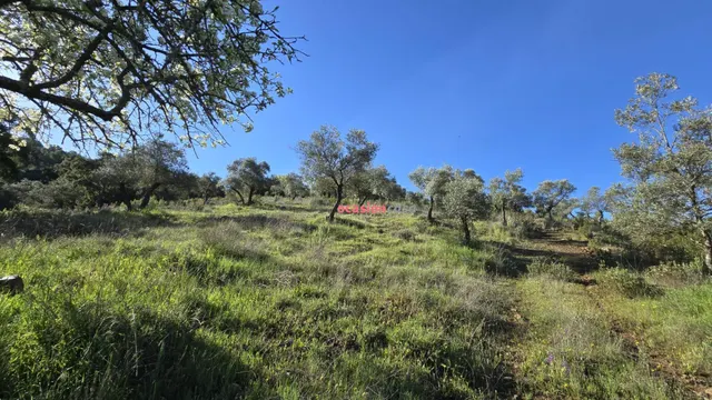 CHALET EN VENTA EN EL PUERTO CALATRAVEÑO — 28