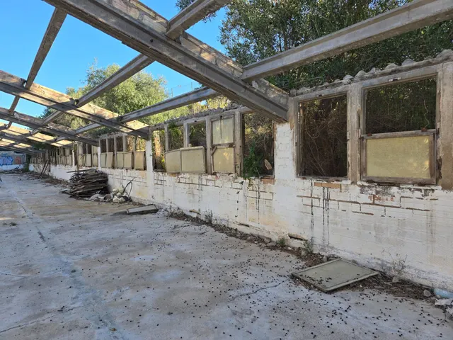 PARCELA DE 2.000 m2 CON EDIFICACIÓN DE 900 m2 — 11