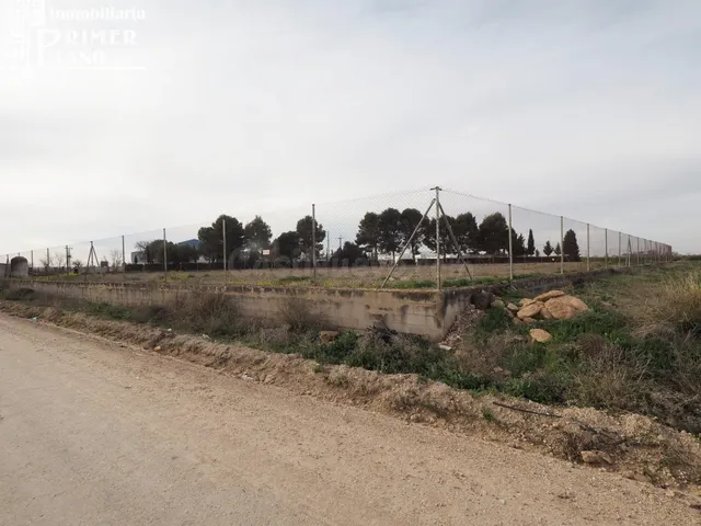 Se vende parcela de terreno rustico en la carretera de Argam - foto 4