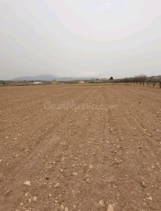 Parcela 840m² en venta - Comunidad valenciana - foto 5