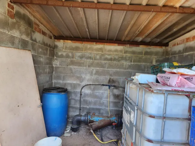 Fantástico terreno de naranjos — 2