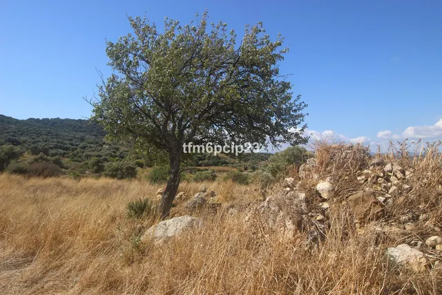 Finca rústica de 37.570 m² en Casares, Costa del Sol — 13
