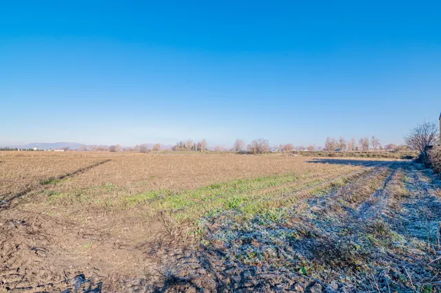 Excelente finca de regadío en la Vega de Granada, con acceso directo — 15